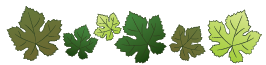 Community Icon
